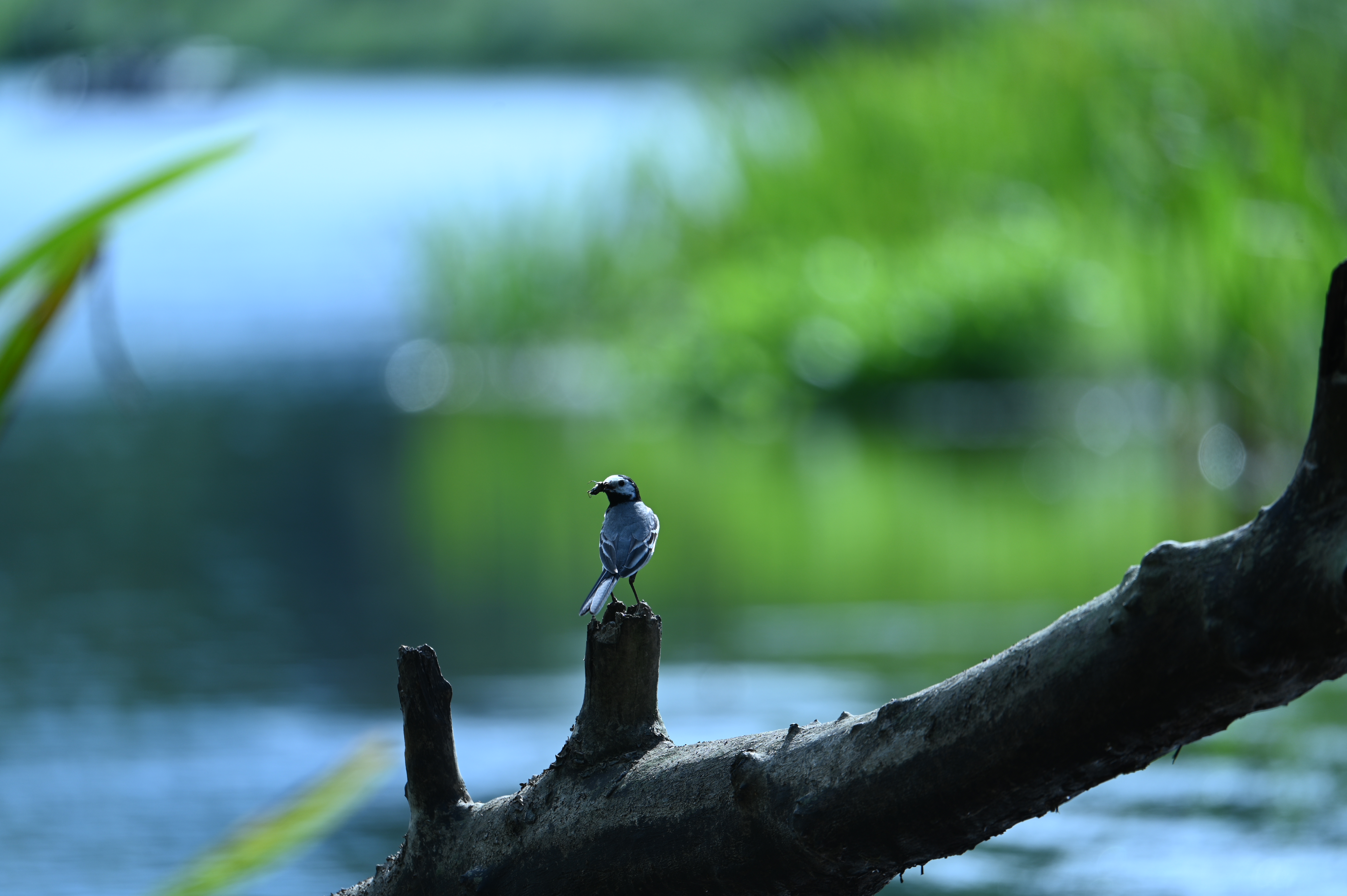 2025/07/09-14 - trip/DSC_0337.JPG